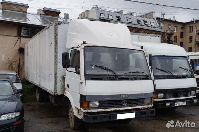 Продажа тата на авито Продажа тата на авито