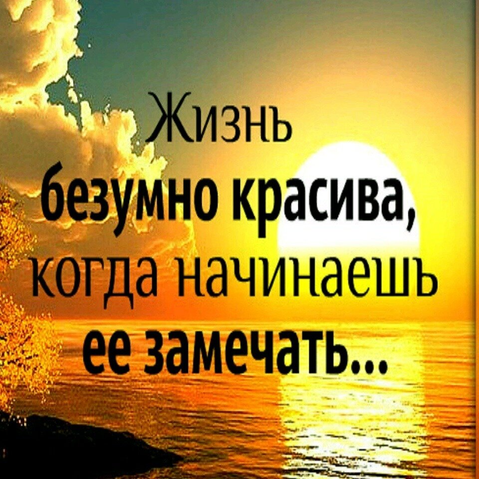Открытка «Наша жизнь, наша музыка» 29 Открытка «Наша жизнь, наша музыка» 41
