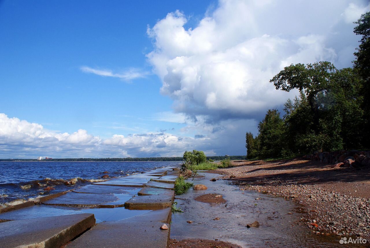 Парк в сестрорецке