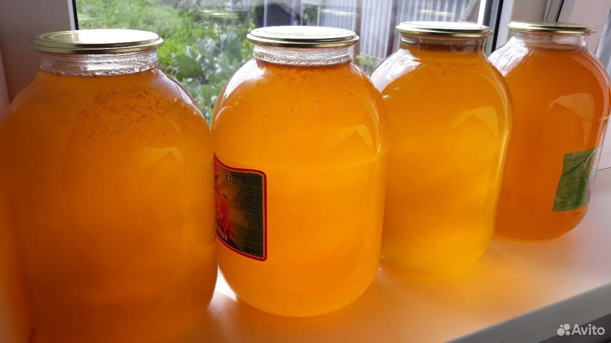 Мёд луговой-цветочный. 300кг купить на Зозу.ру - фотография № 2