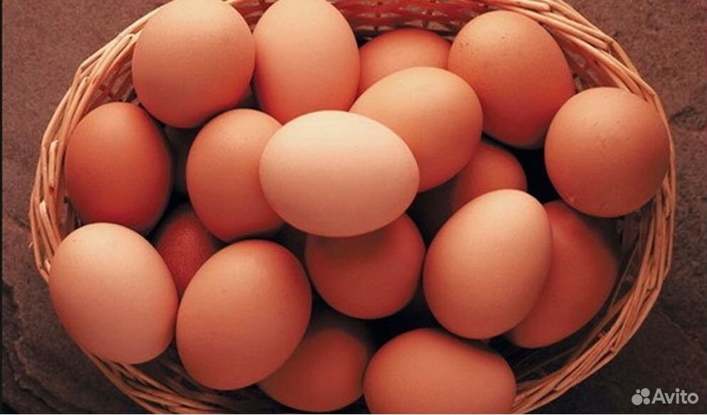Яйца от домашних кур, диетическое, свежее, десяток купить на Зозу.ру - фотография № 1