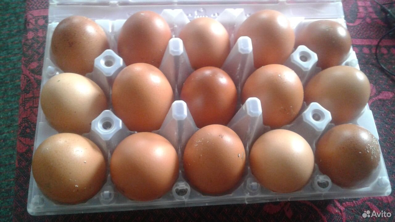 Домашние куриные яйца доставка бесплатно купить на Зозу.ру - фотография № 1