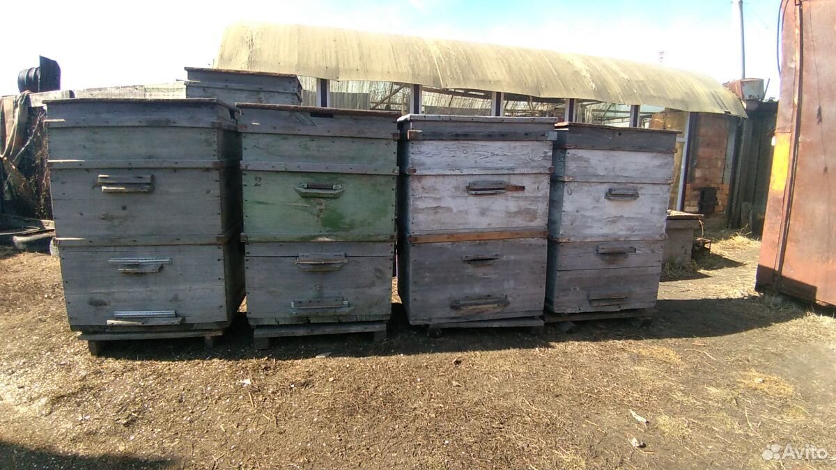 Пчеловодные ульи купить на Зозу.ру - фотография № 2