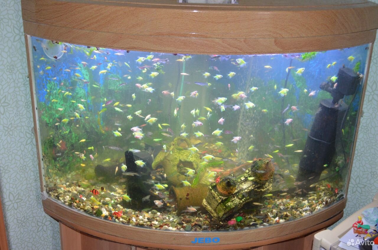 Продается аквариумная стойка купить на Зозу.ру - фотография № 4