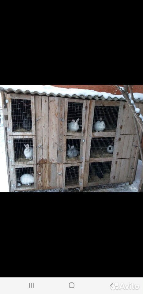Клетки для кроликов купить на Зозу.ру - фотография № 1