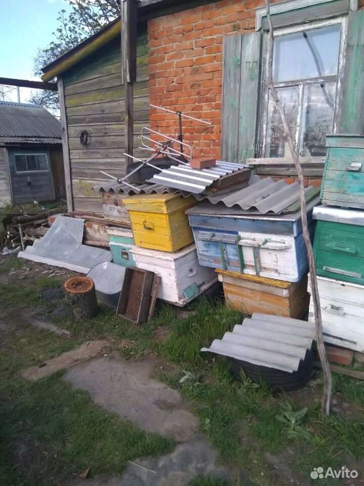 Улики для пчёл купить на Зозу.ру - фотография № 2
