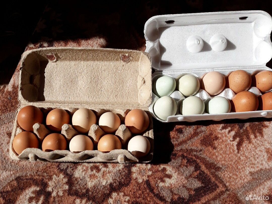 Яйца свежие купить на Зозу.ру - фотография № 1