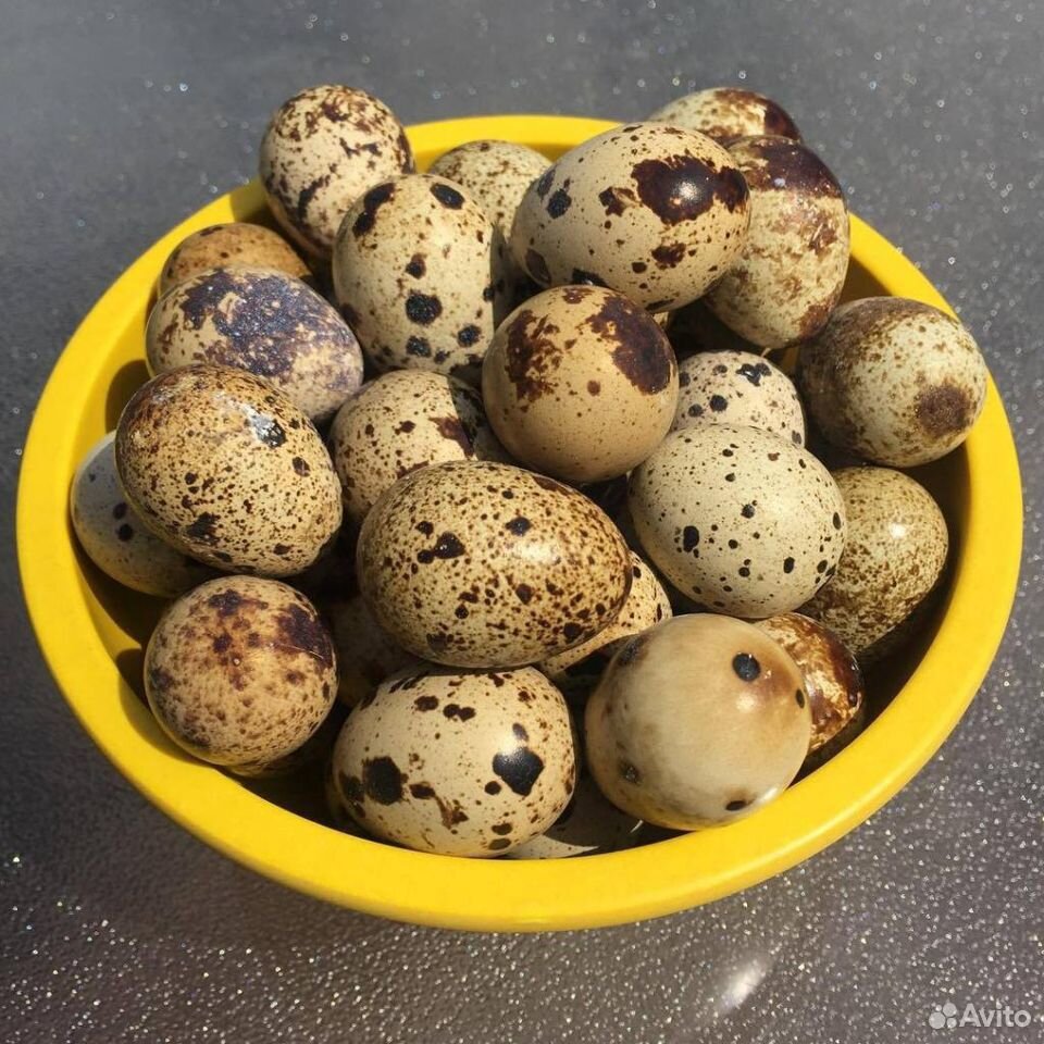Яйцо перепелиное купить на Зозу.ру - фотография № 1