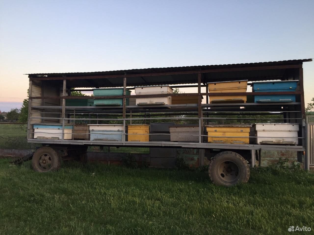 Прицеп-платформа для перевозки пчелиных ульев купить на Зозу.ру - фотография № 4