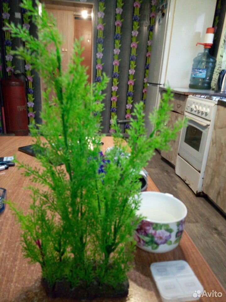 Продам искусственные водоросли и декор для аквариу купить на Зозу.ру - фотография № 3