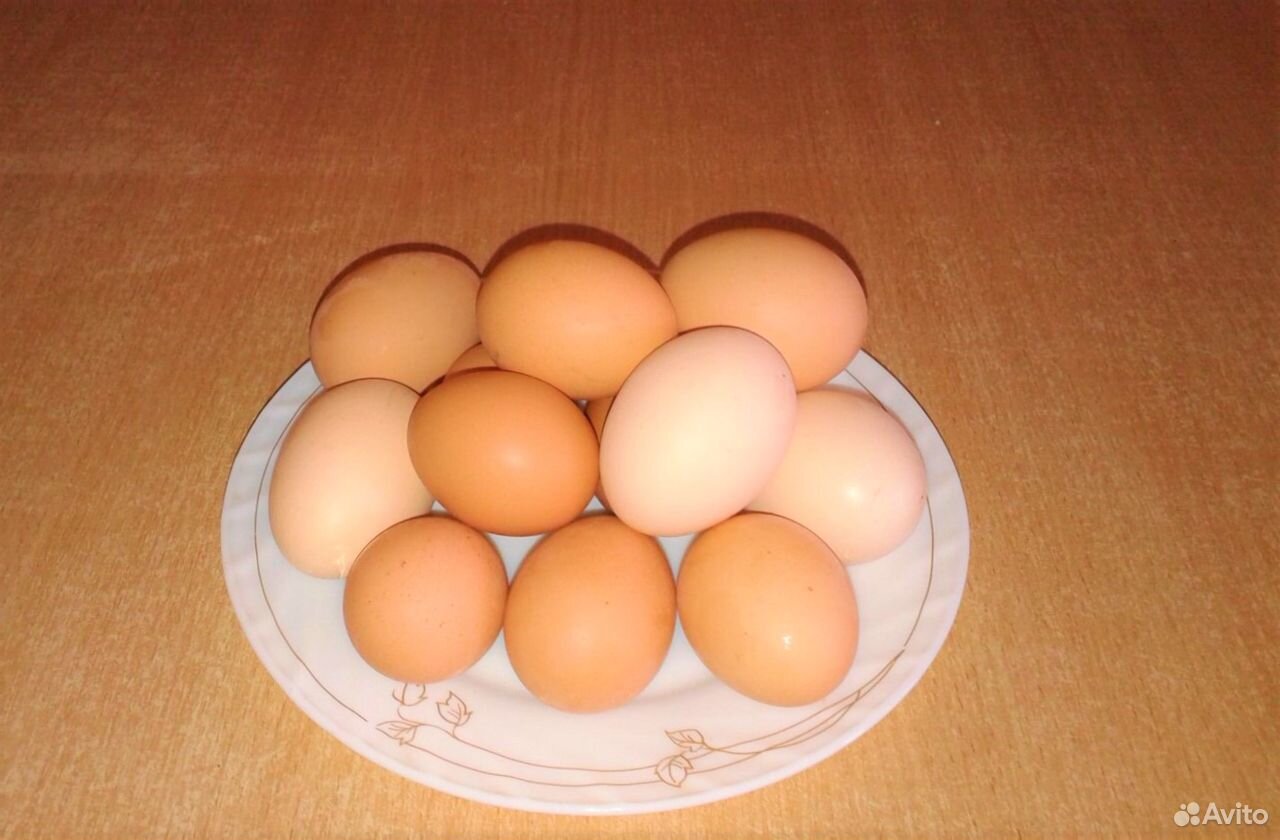 Яйцо домашнее,куриное купить на Зозу.ру - фотография № 1