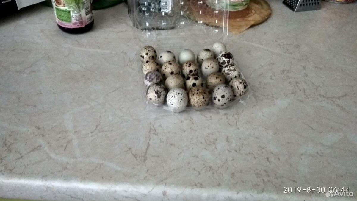 Яйца куриные, перепелиные купить на Зозу.ру - фотография № 6