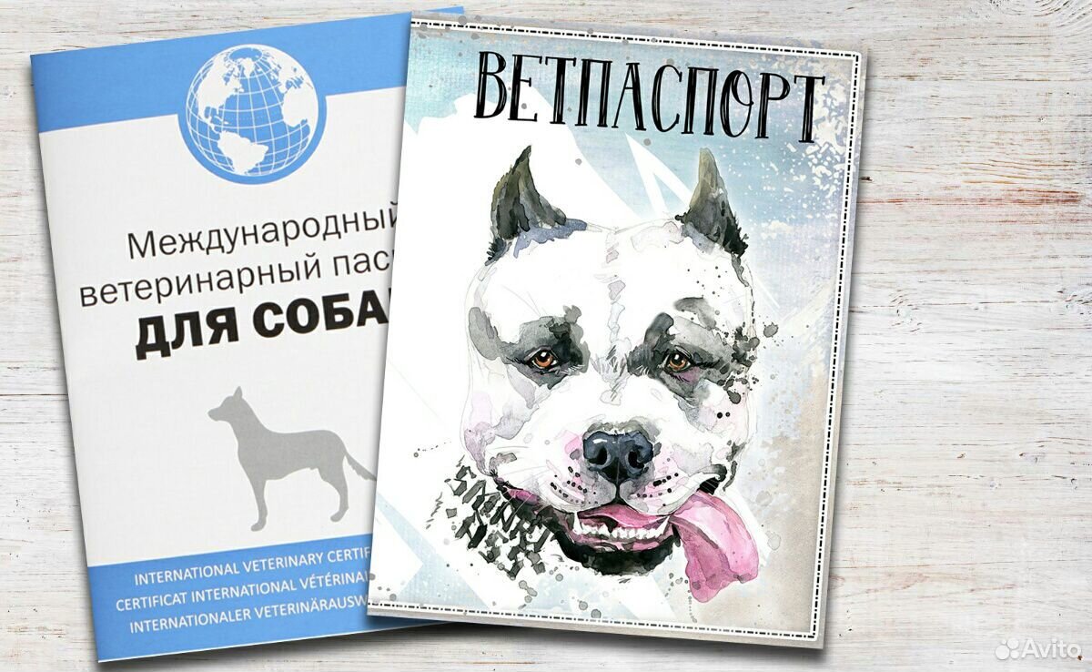 Ветеринарный паспорт купить на Зозу.ру - фотография № 6