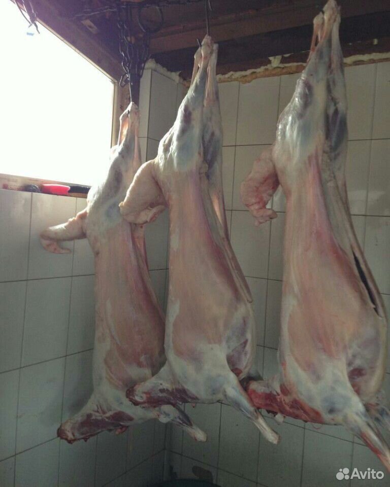 Свежее мясо баранины купить на Зозу.ру - фотография № 1