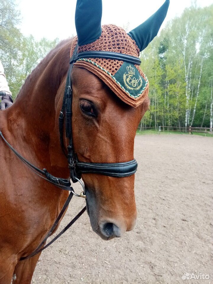 Ушки для лошади продам купить на Зозу.ру - фотография № 3