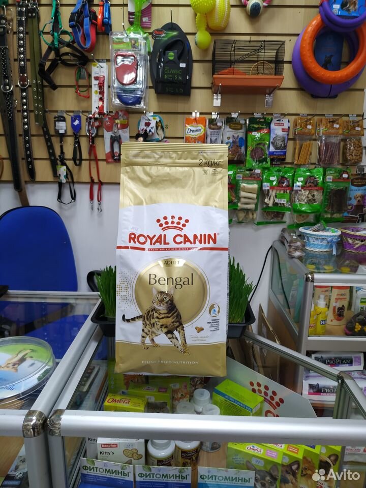 Сухой корм royal canin bengal, 2 кг купить на Зозу.ру - фотография № 1