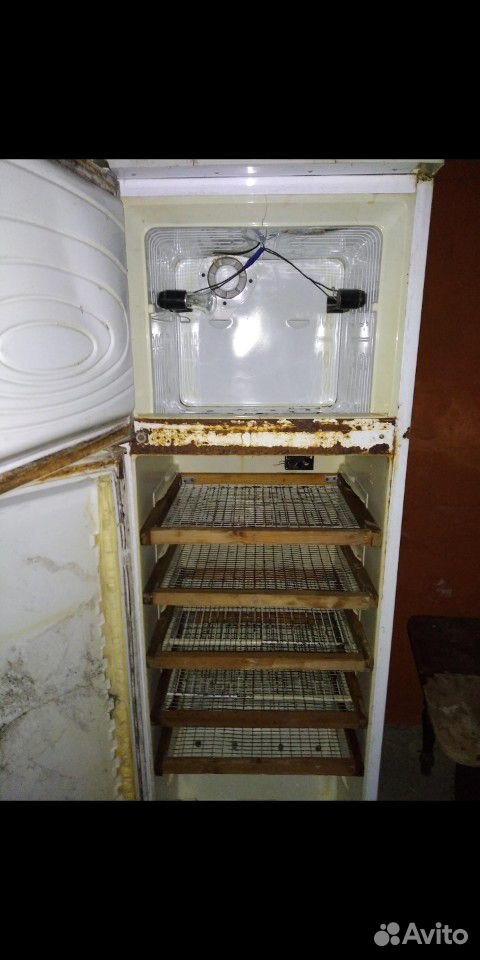 Инкубатор из холодильника купить на Зозу.ру - фотография № 1