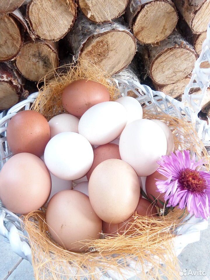 Яйца купить на Зозу.ру - фотография № 8