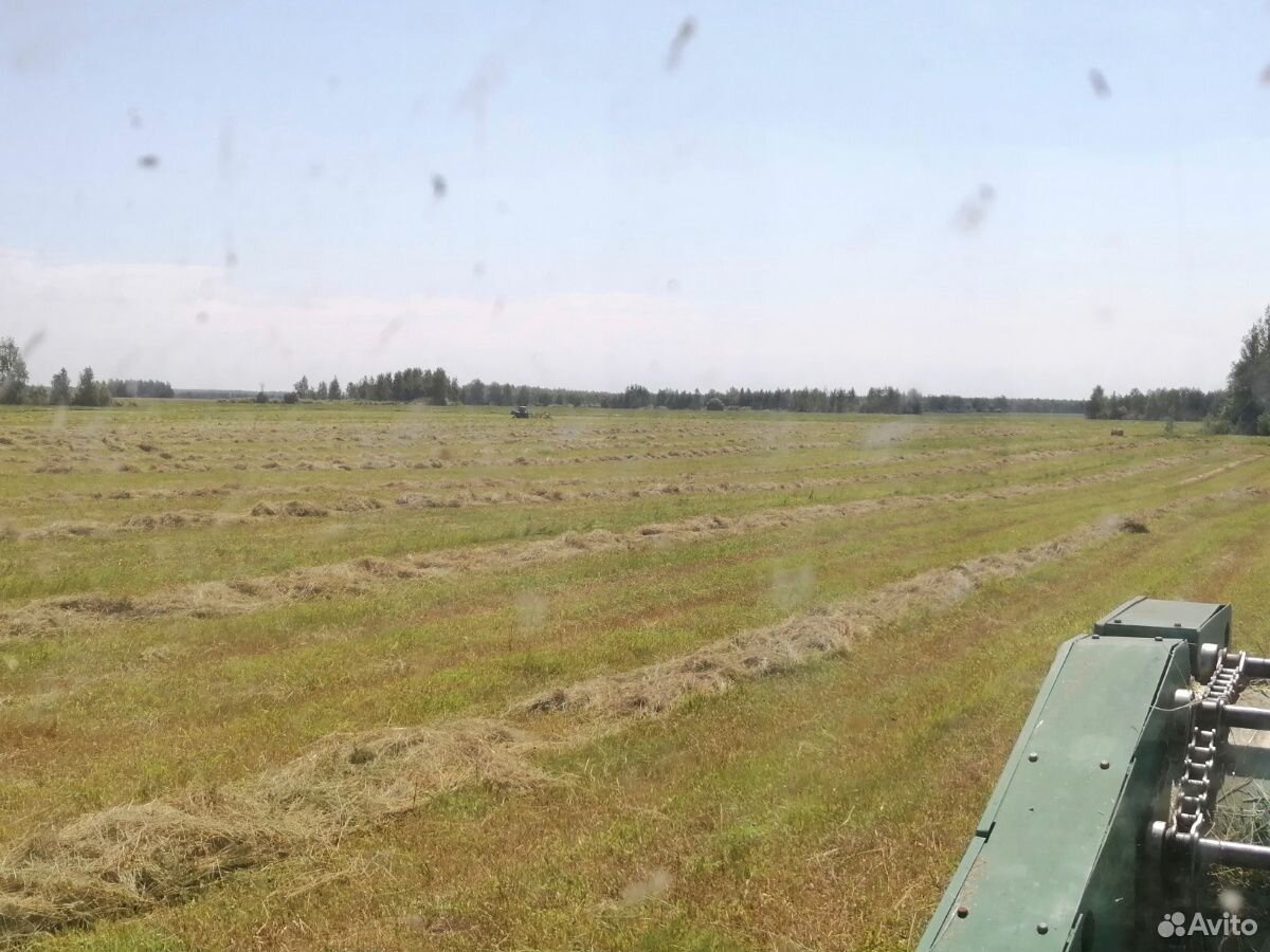 Сено урожая 2020 с заливных лугов купить на Зозу.ру - фотография № 6