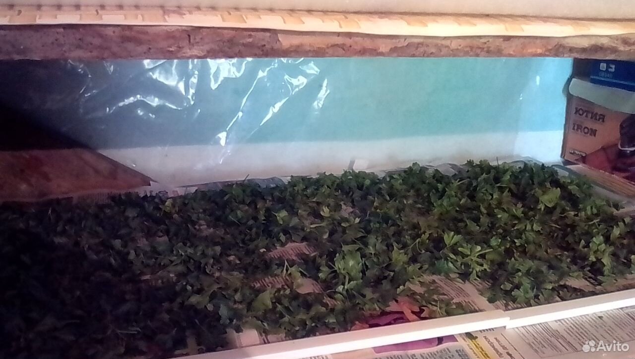 Кубанские травяные чаи с доставкой купить на Зозу.ру - фотография № 6