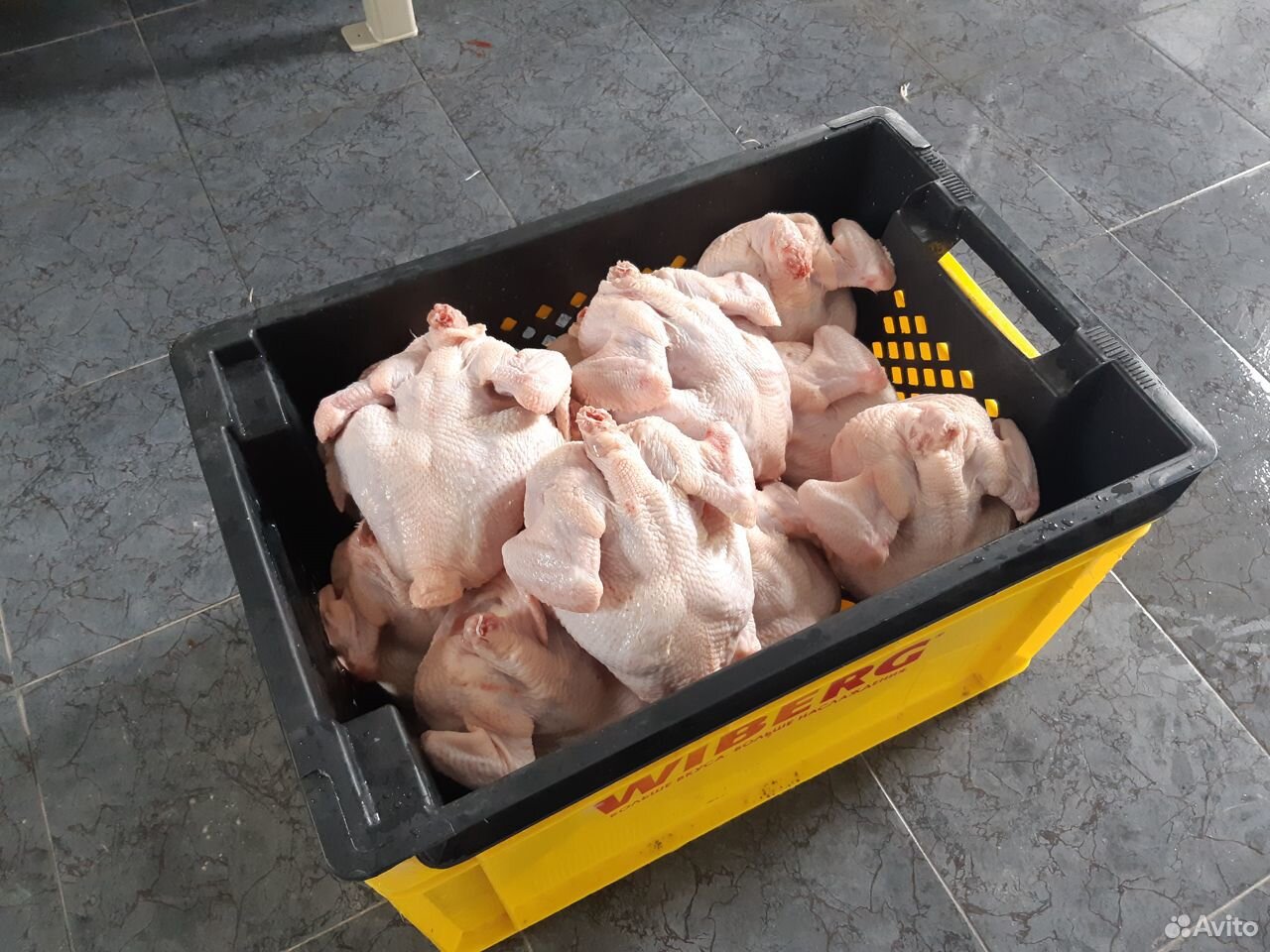 Мясо домашней птицы купить на Зозу.ру - фотография № 1