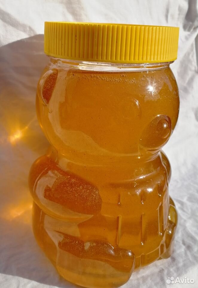 Мёд гречишный,донник купить на Зозу.ру - фотография № 1