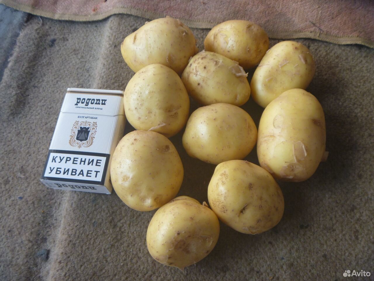 Продам молодой картофель купить на Зозу.ру - фотография № 1