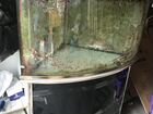 Продам аквариум угловой объявление продам