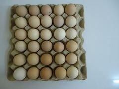 Продам домашнее яйцо