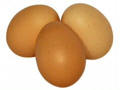 Продажа инкубационных яиц ломан браун