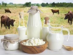 Молочные продукты (молоко, творог) от своей коровы