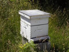 Улей для пчёл