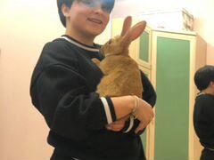 Кролик с клеткой