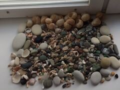 Набор в аквариум ракушки камни морские