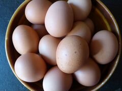 Яйца куриные, домашние от своих кусочек