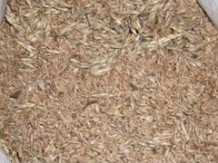 Отходы пшеницы