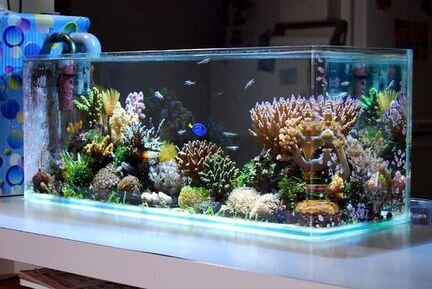 Декор для аквариума-много вариантов