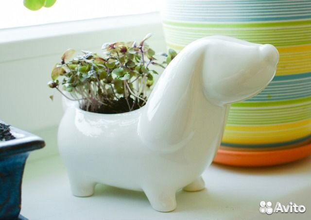 Ангел,Романтик,Совушки,Собачка Травянчики