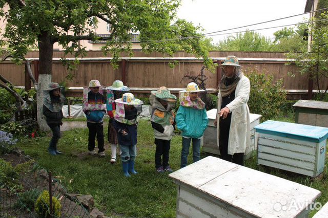 Музей пчеловодства мед, тур на пасеку, агротуризм