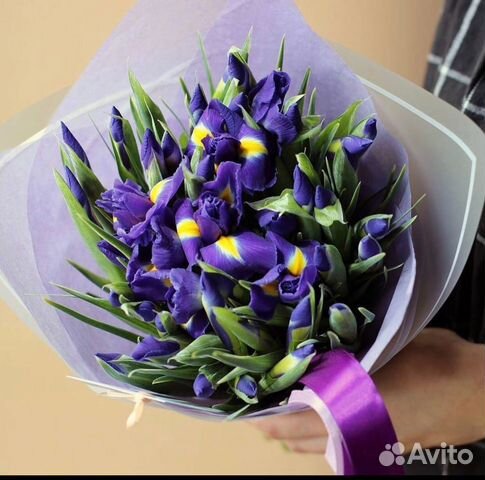 Цветы Ирисы Доставка 24\7