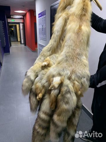 Шкуры лисы