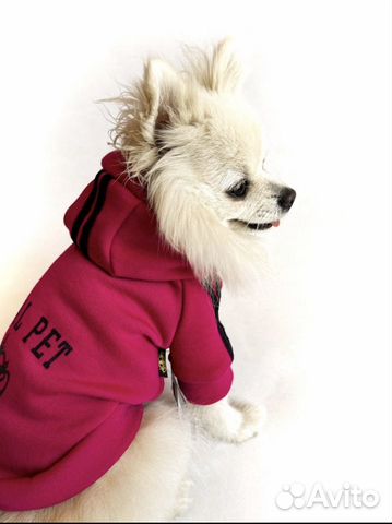 Толстовка для собак