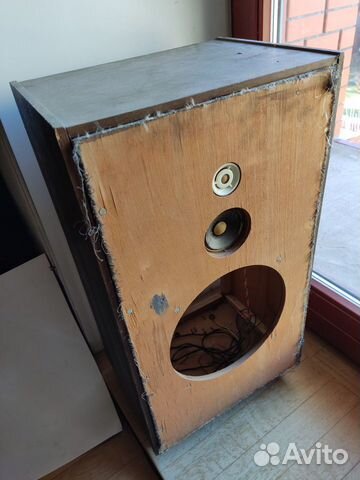 Динамики 2гд19м