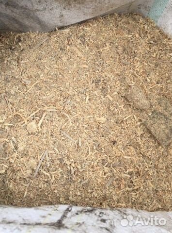 Отдам бесплатно опилки