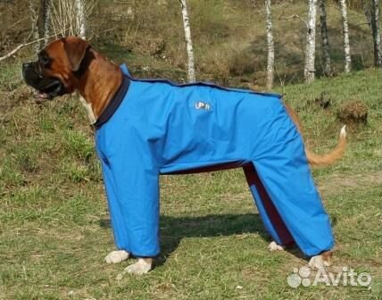 Одежда для животных, лежаки, сумки Одежда для животных, лежаки, сумки