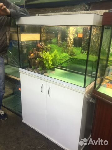 Для красноухих черепах от 20л до 300л водоемы