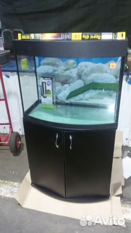 Для красноухих черепах от 20л до 300л водоемы