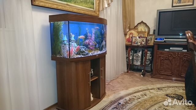 Изготовим аквариум купить на Зозу.ру - фотография № 4