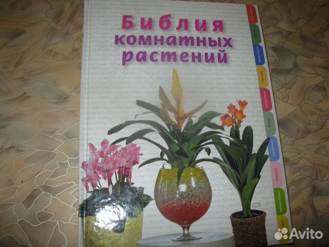 Библия комнатных растений Библия комнатных растений