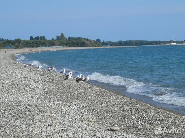 Отдых на море Абхазии Отдых на море Абхазии